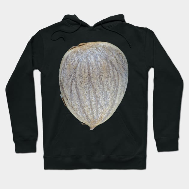 Macro photo of an apricot seed kernel Hoodie by SDym Photography